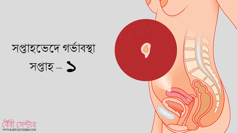 সপ্তাহ – ১