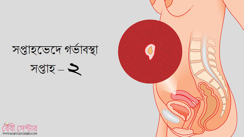 সপ্তাহ – ২