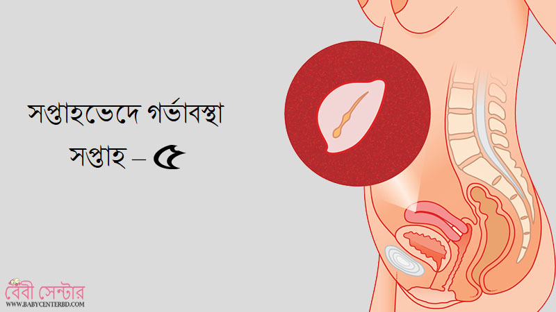 সপ্তাহ – ৫