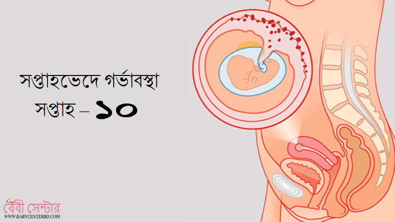 সপ্তাহ – ১০