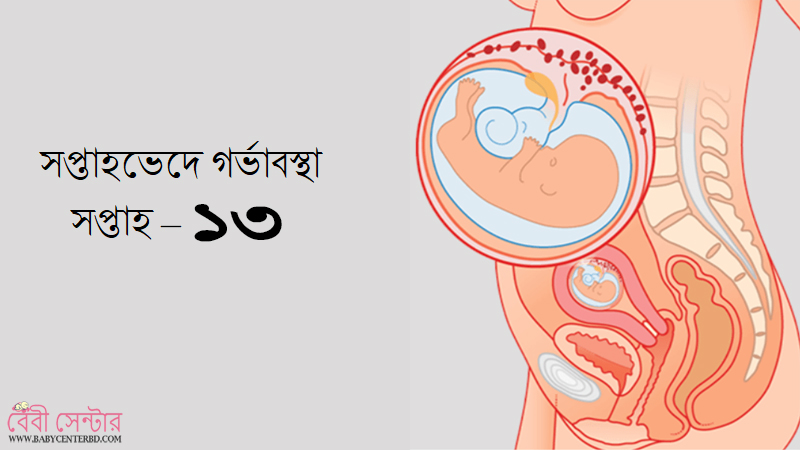 সপ্তাহ – ১৩