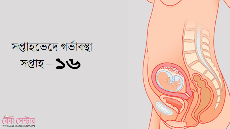 সপ্তাহ – ১৬