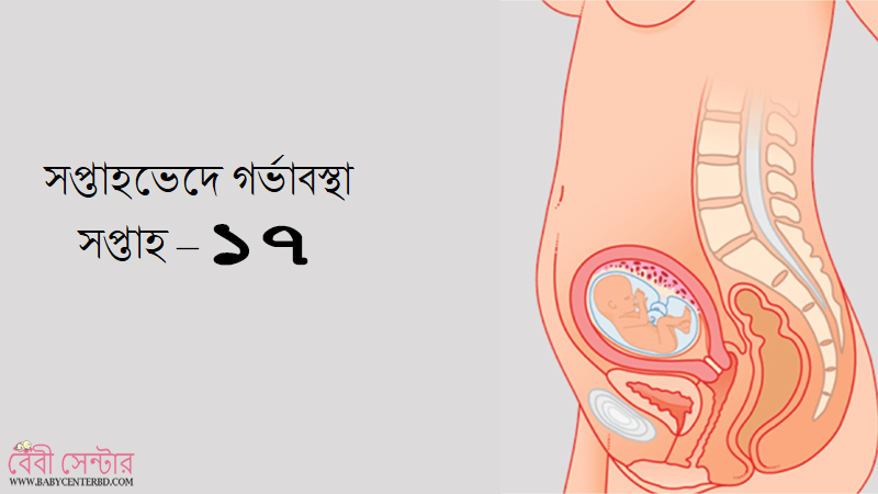 সপ্তাহ – ১৭