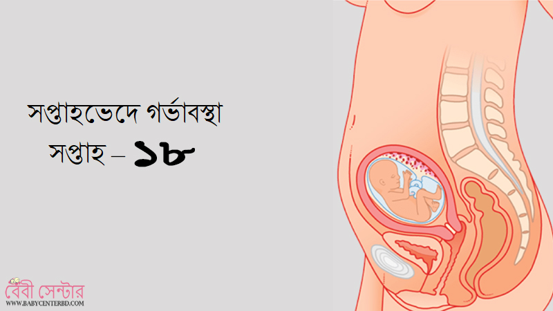 সপ্তাহ – ১৮