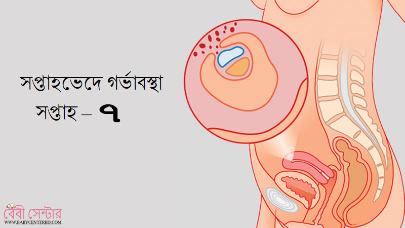 সপ্তাহ – ৭