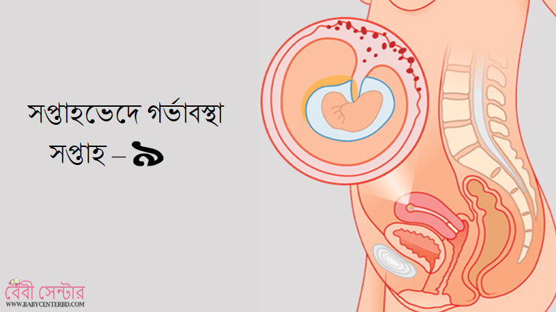 সপ্তাহ – ৯